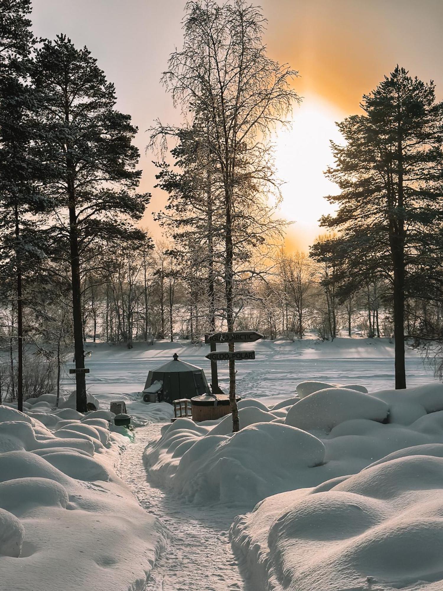 Aurora Igloo With Private Hot Tub By Invisible Forest Lodge Rovaniemi Exteriör bild